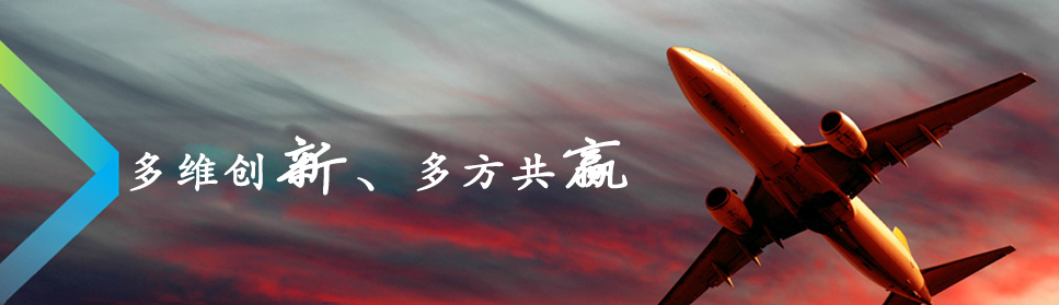 已有13年的IT管理服务经验